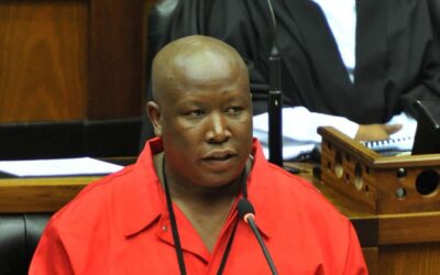 Fear and Loathing in South Africa: The Malema Phenomenon