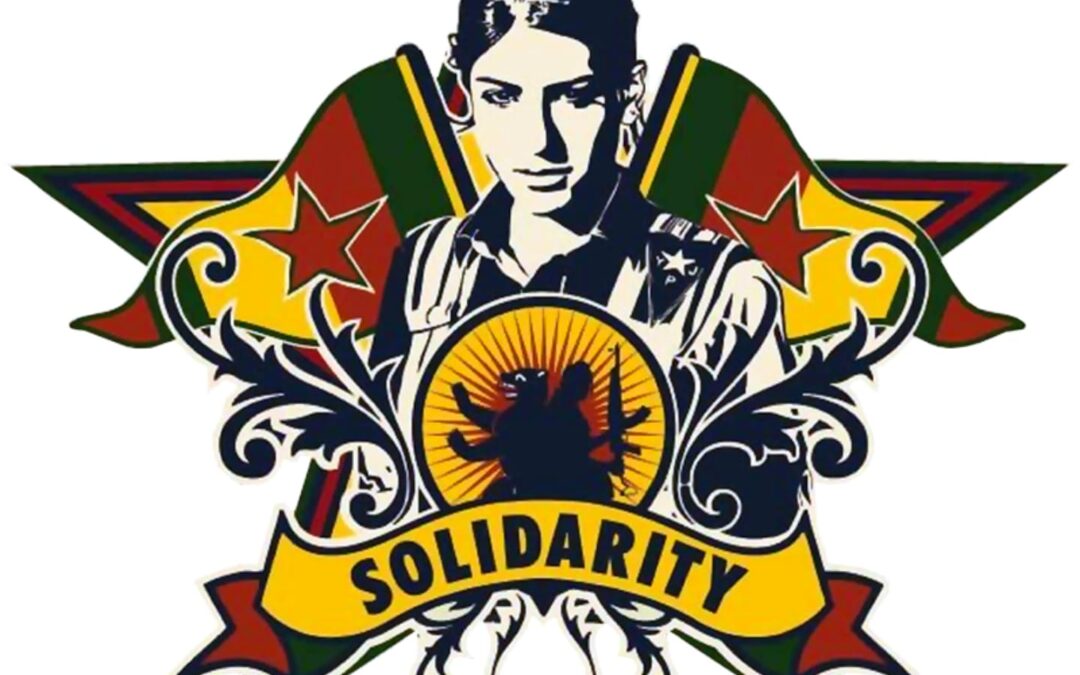 Press Statement: Support for the Rojava Revolution and call to end the isolation of jailed Kurdish leader Abdullah Ocalan