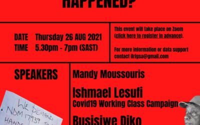 [WEBINAR] SA Unrest: How do we understand what happened?